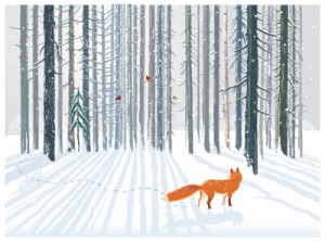 Fototapete Andere red, Muster, Natur, Tier, Tierwelt