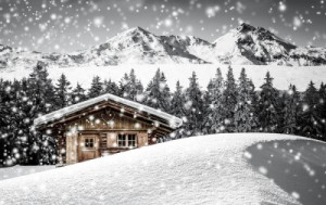 Fototapete weiß, Wald, Urlaub, Winter, Schnee