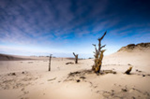 Fototapete Andere Wind, reisen, Sand, Meer, nationalen