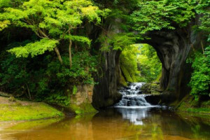 Fototapete Andere Wasser, Stream, Wald, Natur, Wasserfall