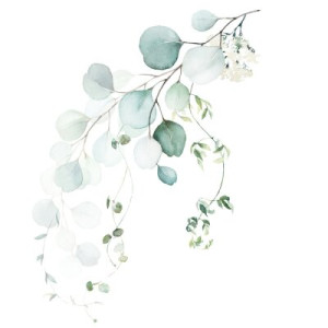 Fototapete Blätter Anordnung, art, Hintergrund, Grenze, botanischen
