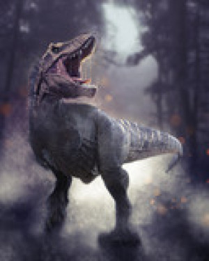 Fototapeta drewno, drzewo, las, przyrody, środowisko