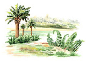 Fototapeta prehistoryczny, las, drzewo, ilustracja, biały
