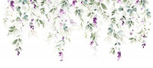 Fototapeta Lawenda Dziki kwiat, akwarela, tapeta, róża, botaniczny