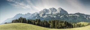 Fototapeta aktywny, Alpy, gospodarstwo, drzewo, montować