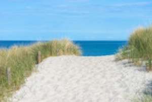 Fototapeta wypominać, Morze Bałtyckie, morze Północne, plaża, wydma