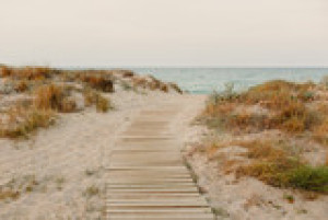 Fototapeta plaża, Boardwalk, wybrzeże, linia brzegowa, wydma