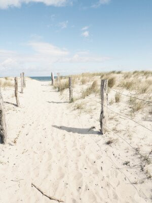 Fototapeta Niemiecki, tło, bałtycki, plaża, piękny