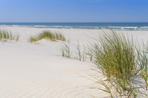 Fototapeta plaża, bałtycki, wydma, trawa, piasek
