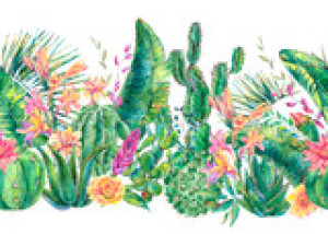 Fototapeta banan, orchidea, kwiat, kaktus, pustynia