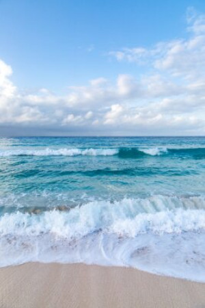 Fototapeta plaża, barbados, krajobraz, wybrzeże, Karaiby