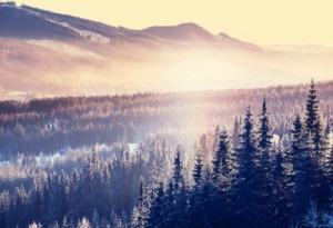 Fototapeta widok, tło, charakter, podróżować, naturalny