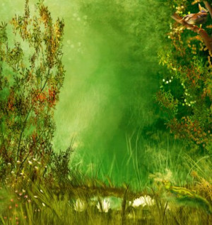 Fototapeta gwiazda, tło, las, motyl, staw