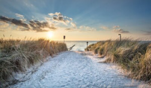 Fototapeta Morze Bałtyckie, wybrzeże, plaża, ocean, lato