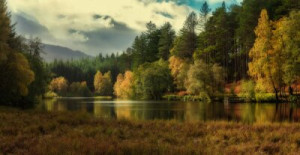 Fototapeta jesień, las, górski, turystyka, jezioro