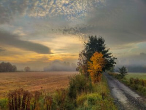 Fototapeta rano, Polska, wschód słońca, mgła, krajobraz