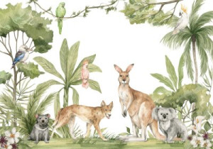 Fototapeta Australijczyk, kangur, koala, pies, dingo