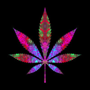 Fototapeta konopie indyjskie, liść, odizolowany, ilustracja, ganja