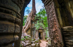 Fototapeta starożytny, Angkor, wat, Angkor Wat, architektura