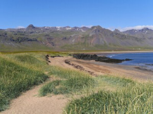 Fototapeta morze, góra, krajobraz, plaża, wydma