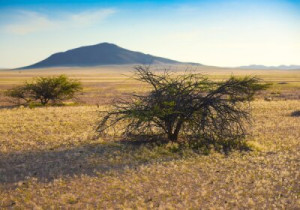 Fototapeta charakter, krajobraz, Namibia