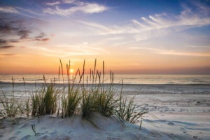 Fototapeta Plaża biały, woda, zielony, piasek, morze