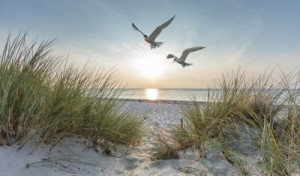 Fototapeta Morze Bałtyckie, wybrzeże, morze, widok na ocean, plaża