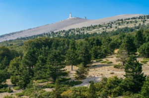 Fototapeta provence, wapień, łysy, krajobraz, meteorologia