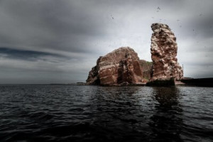 Fototapeta Helgoland, Islandia, red rock, skała, piaskowiec