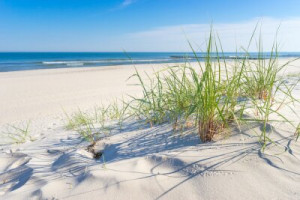 Fototapeta plaża, Morze Bałtyckie, morze Północne, wydma, trawa