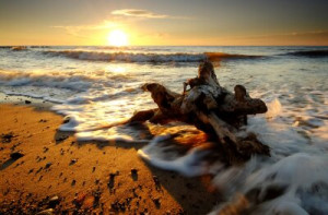 Fototapeta zachód słońca, morze, plaża, ocean, woda