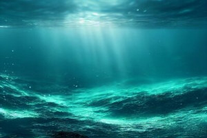 Fototapeta podwodny, tapeta, tło, ocean, morze