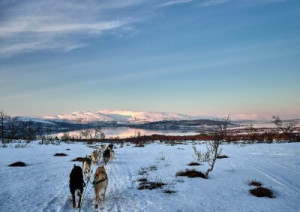 Fototapeta norge, śnieg, kopia przestrzeń, norweski, krajobraz