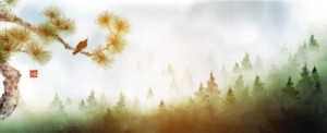 Fototapeta Minimalizm, mglisty, wektor, pustynia, naturalny