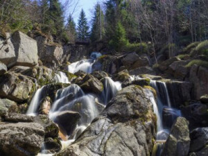 Fototapeta mokro, drzewo, kamień, naturalny, park