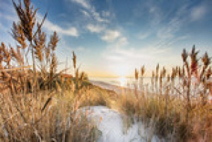 Fototapeta plaża, wybrzeże, Morze Bałtyckie, morze Północne, wydma