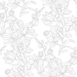Fototapeta linia, orchidea, rysunek, hand-made, cienki