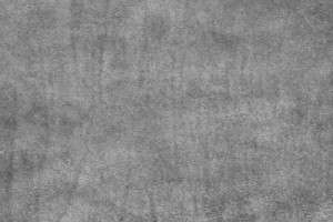 Fototapeta tekstura, tło, streszczenie, pusty, zwierzęcy