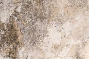 Fototapeta beton, ściana, streszczenie, tło, tekstura