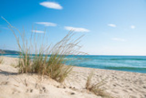 Fototapeta plaża, trawa, morze, piasek, wydma