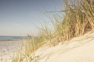Fototapeta plaża, trawa, wydma, Morze Bałtyckie, most