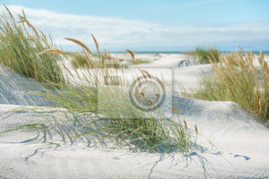 Fototapeta morze Północne, plaża, wakacje, wydma, morze