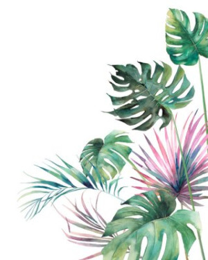 Fototapeta akwarela, projekt, monstera, ilustracja, sztuka