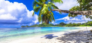 Fototapeta Plaża charakter, lato, biały, podróżować, tropikalny