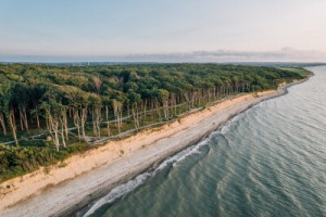 Fototapeta las, Rostock, Morze Bałtyckie, plaża, lato