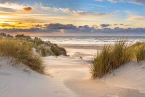 Fototapeta Zachód słońca wydma, wybrzeże, holland, plaża, piękno