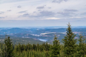 Fototapeta charakter, podróżować, zielony, las, wycieczka