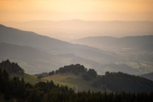 Fototapeta black forest, Freiburg, niebo, krajobraz, zachód słońca