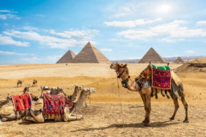 Fototapeta Egipt, Kair, Giza, piramida, pustynia