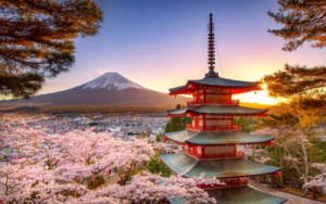 Fototapeta Krajobrazy chureito, fuji, góra, pagoda, sakura